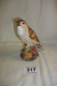 A Royal Worcester Thrush