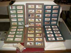 Several albums of cigarette cards and some loose cards