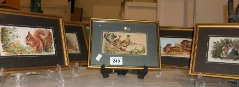 6 Cash's framed woven pictures