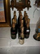 12 bottles of Rene-Brisset Brut champagne and a half bottle