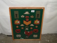 A framed collage of cloth army badges