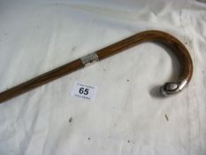 A Rosewood walking stick with silver collar and cap