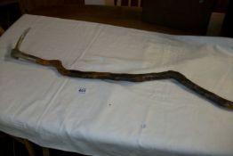 A rustic walking stick with horn handle