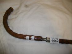 An old Sword stick