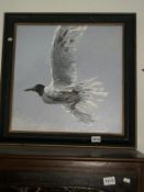 An oil on board of a seagull