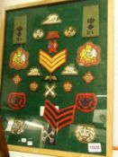 A cased collage of cloth badges