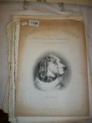 A collection of steel engravings and woodcuts being Landseer's Works