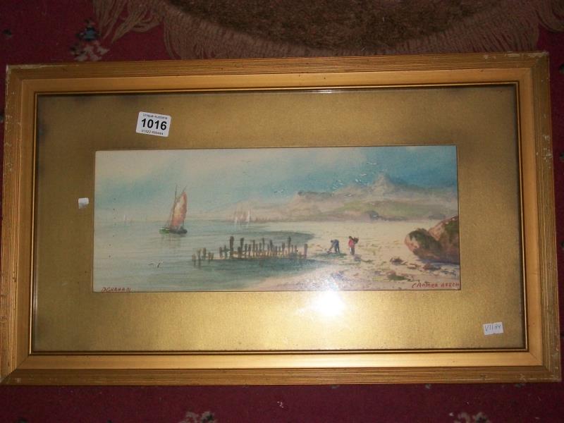 A watercolour entitled Cromer Beech and signed D Graham