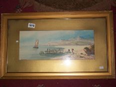 A watercolour entitled Cromer Beech and signed D Graham