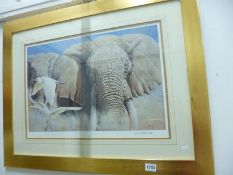A limited edition Elephant print signed Michael Kitchen Hule