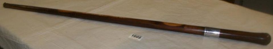 A Yew Wood walking stick with unmarked white metal collar