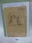 A Greyhound drawing "Chips" Initialled P H