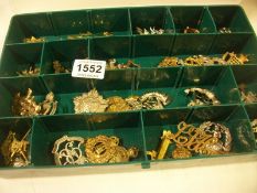 Approximately 45 British military cap badges