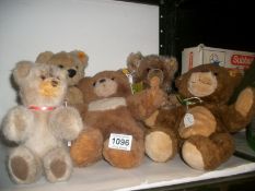 5 Stieff teddy bears