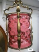 A cranberry lantern