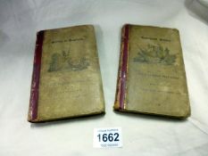 2 volumes  1821-1822 European scenes and Scenes of England for "Tarry at Home" travellers