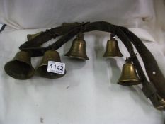 A set of early cow bells