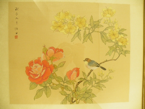 A signed Chinese watercolour of bird on blossom mounted on silk - framed and glazed 43cm x 50cm