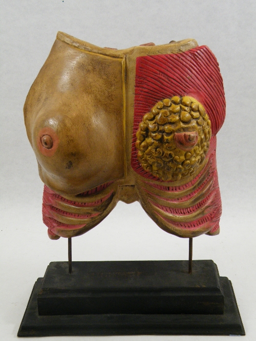 Scientific anatomical interest: An unusual carved and hand painted study of a partially flayed