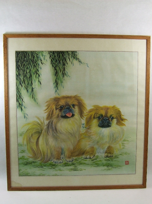 A Chinese watercolour portrait of two Pekingese dogs sitting down, silk border in a pine frame