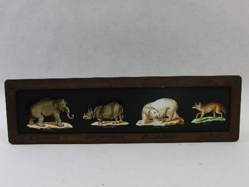 A Victorian rectangular hand painted magic lantern slide depicting Elephant, Rhinoceros, Polar