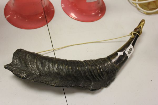 A Yaks Horn with mouth piece