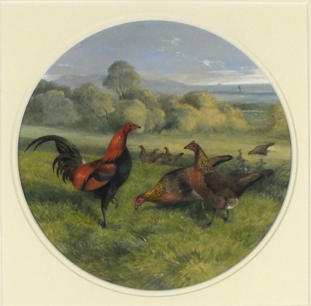 Harrison William WEIR (1824-1906) Watercolour Study of a cockerel and hens in a meadow landscape