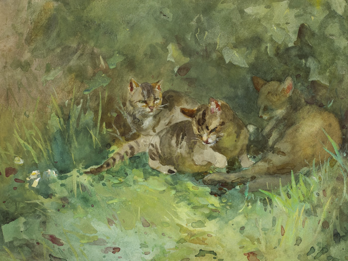 Mildred Anne Butler RWS (1858-1941)CATS BENEATH A WALLwatercolour heightened with