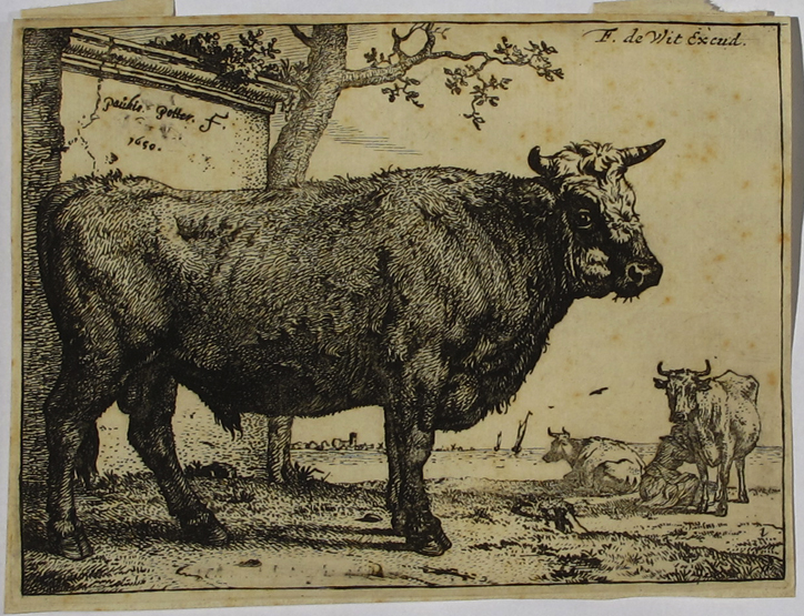 Frederick de Wit (1625-1654) after Paulus Potter Study of a bull Etching, 1650, unframed 10.5 x