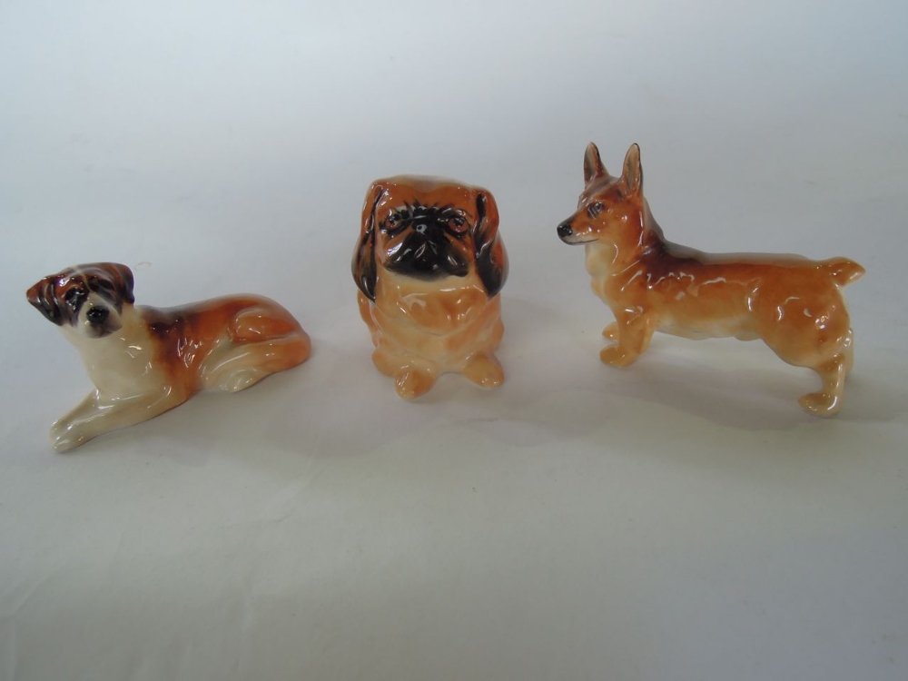 A selection of Royal Doulton dogs including St Bernard K19, Pekinese K6 and a Welsh Corgi K16