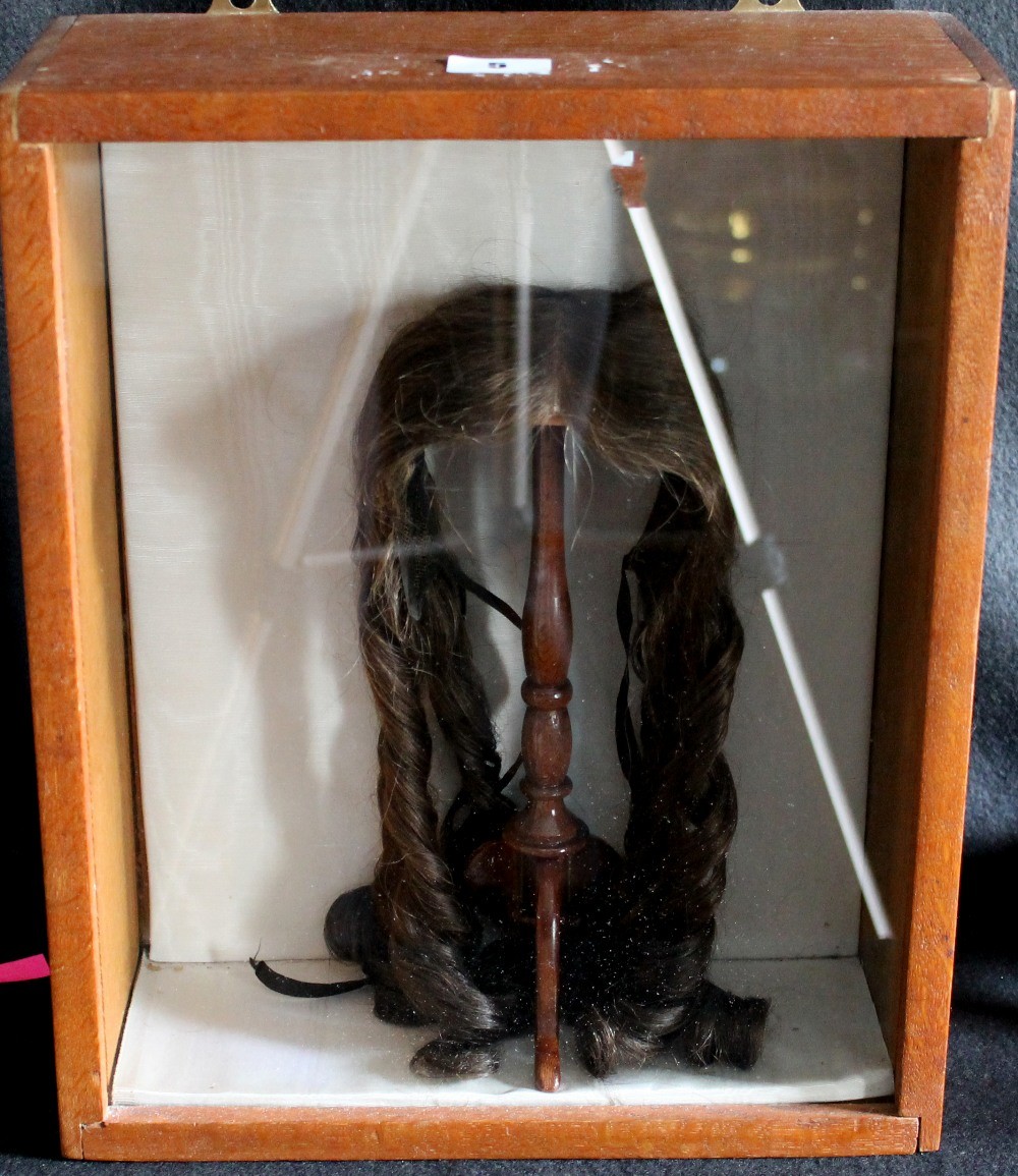 Mahogany cased wig on turned stand, 38cm x 31cm.