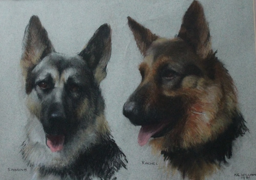 KATHLEEN E. WILLIAMS Study of German Shepherds Signed and dated 1981, pastel; another by the same