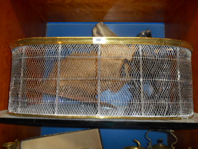 A Small Brass & Wire Mesh Fender.