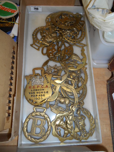 A Collection of Quality Horse Brasses - to Include a RSPCA Merit Badge.