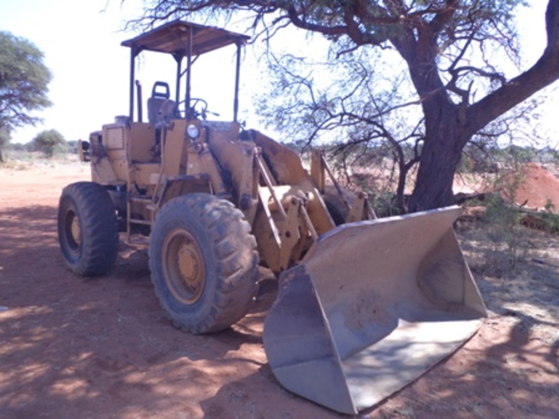 BJL288NC CAT 930 FRONT END LOADER (304 CAT ENGINE)
(8 FULLER STREET, OLIFANTSHOEK, NORTHERN CAPE) - Image 2 of 8