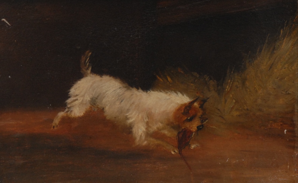 English School (19th century) 
A Set of Four, Pugnacious Bulldog and  Ratting Terriers
oil on