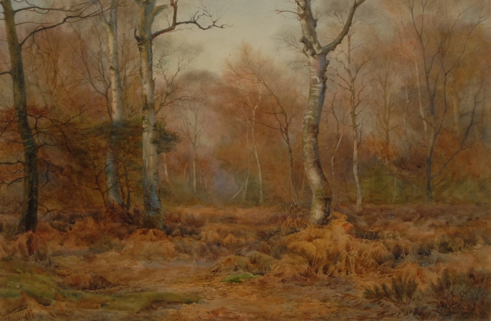 Frank H Walker (fl 1878-1893)
Autumnal Woods
signed, watercolour, 35cm x 53cm