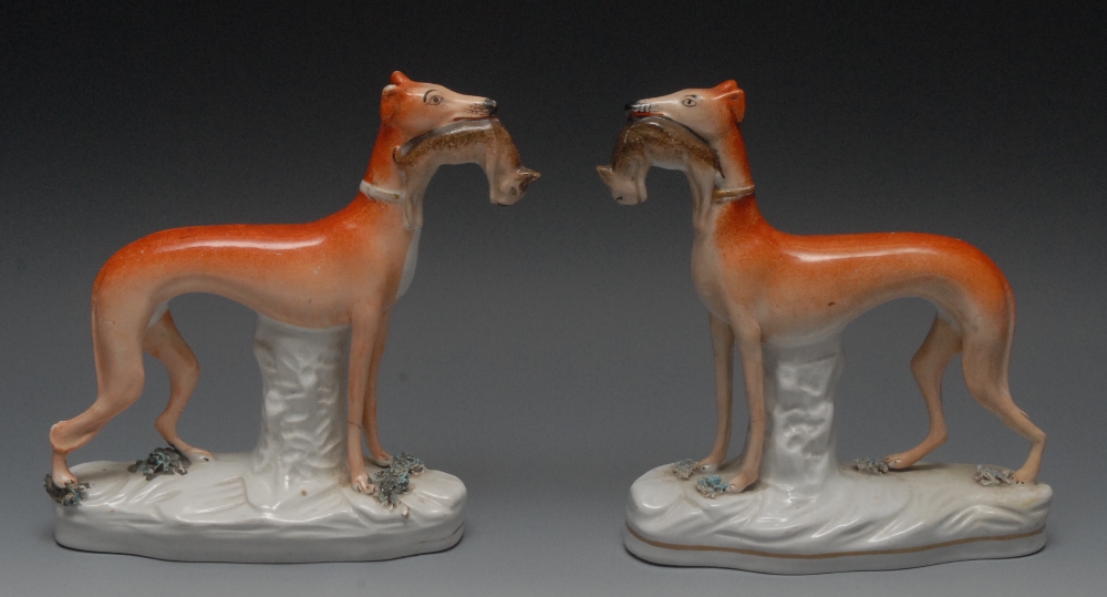 A pair of Stafforshire greyhounds, standing to the left and right, hares in their mouths, tan
