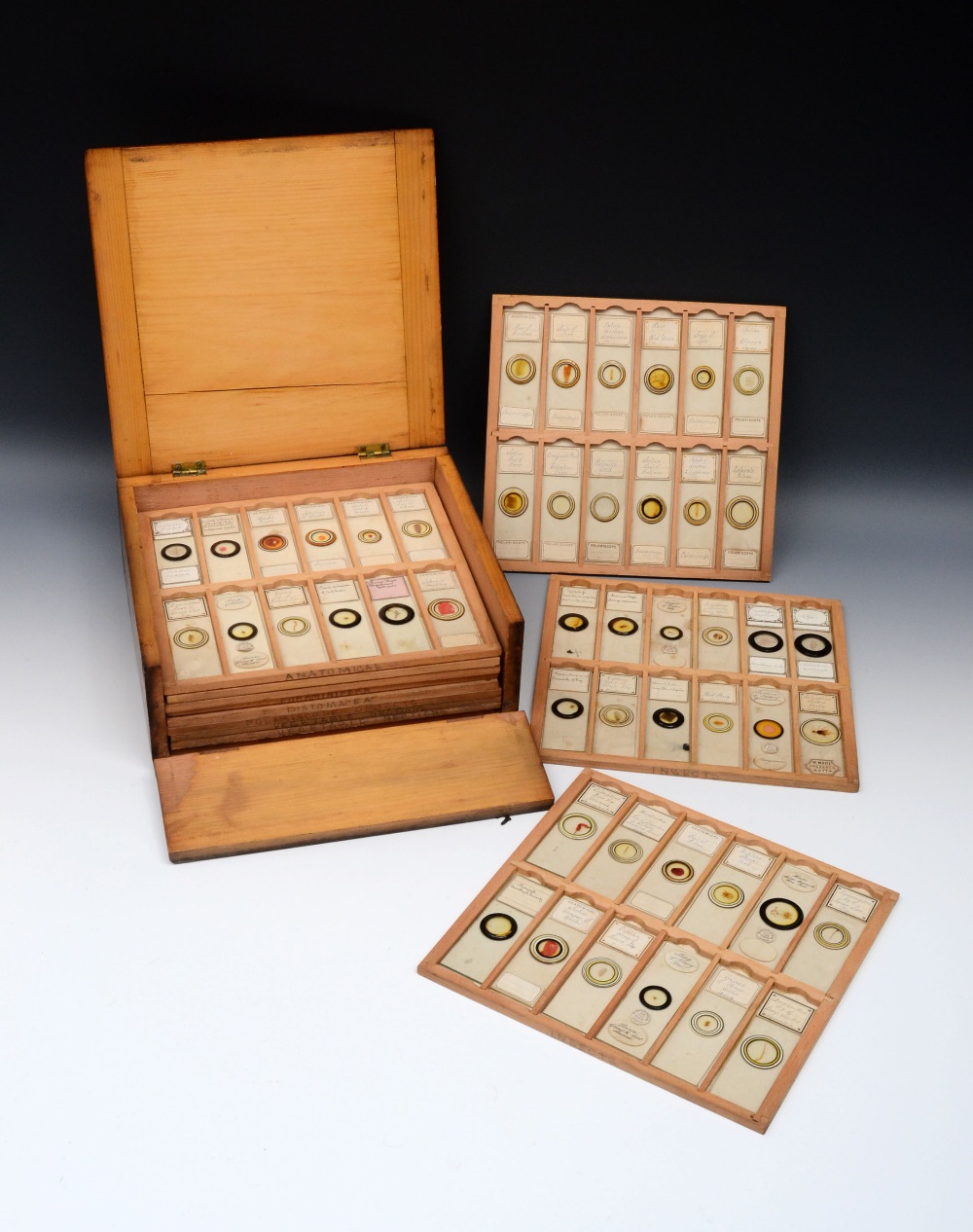 Science & Natural History - a collection of microscope slides, prepared by White, Nottingham, W