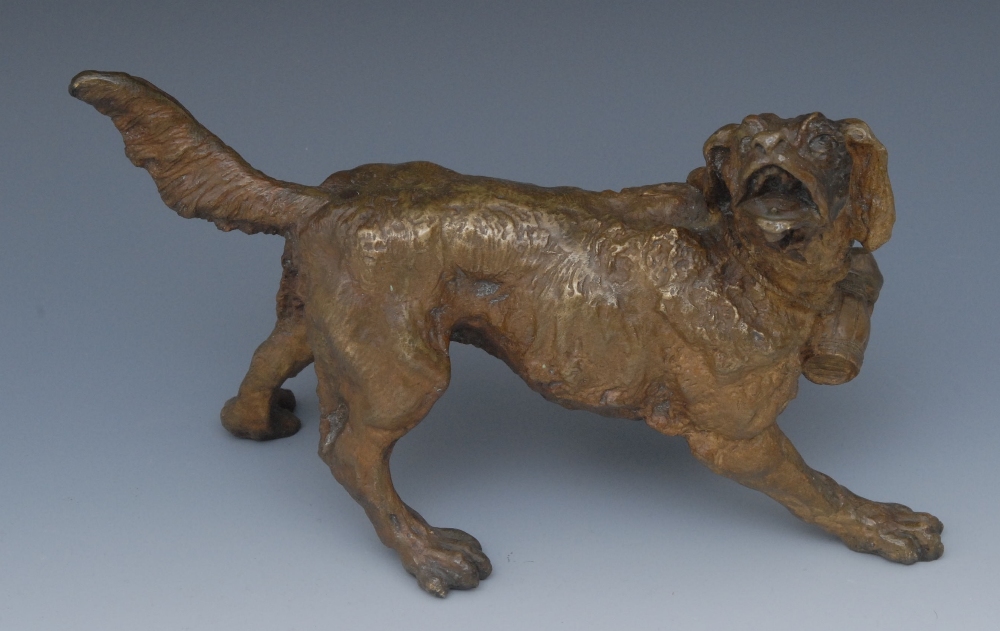 Continental School (19th Century), a patinated bronze, of a St Bernard, 25cm long