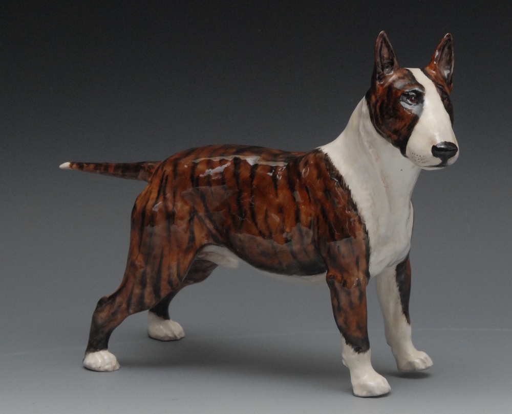 A rare Royal Doulton model, Bokos Brock Bull Terrier, designed by Frederick Daws, gloss finish,