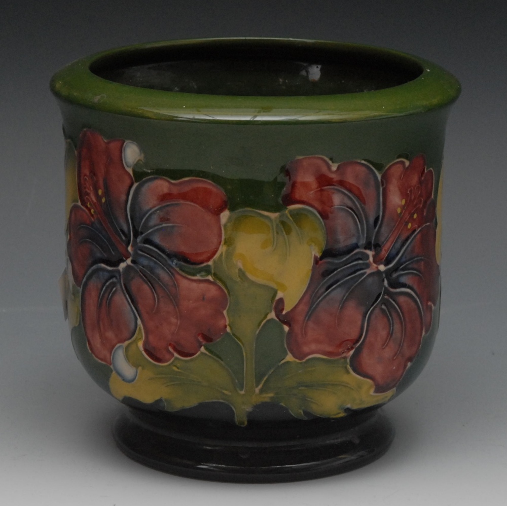 A Moorcroft Hibiscus pattern jardiniere, tube lined with large flowers and foliage, on a green