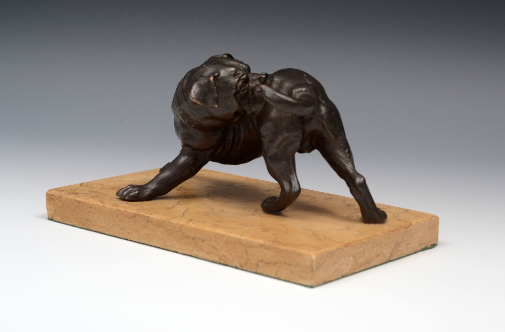 French School (19th century), a dark patinated bronze, The Pesky Flea, study of a bulldog, marble