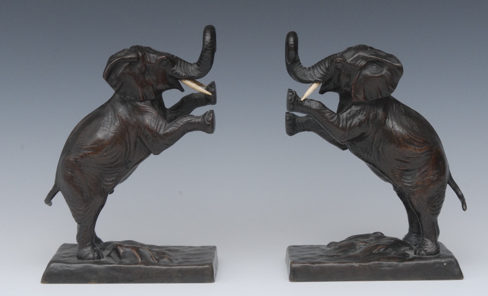 Chotka (Austrian early 20th century). a pair of dark patinated bronzes, of rearing elephants, ivory