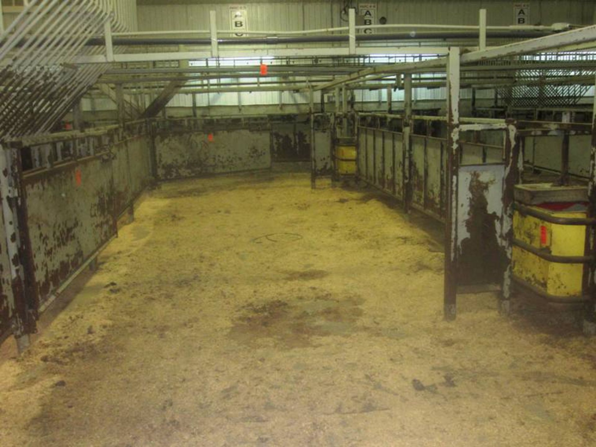 Cattle Pen 28' W X 48' L w/(2) overhead hay bins, (2) Ritchie waterers, (2) end gates & (2) center - Image 2 of 6