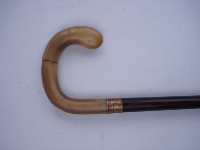 An early 20th century horn-handled walking cane:, with brass ferrule.