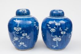 A pair of large Chinese ovoid jars and covers: painted with gnarled prunus branches reserved in