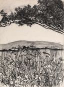 Edward Middleditch (1923-1987) - Sussex Landscape, 1956 charcoal on paper 29 1/2 x 21 1/2 in., 75 x