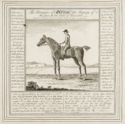 [Cheny & Thomas Butler, publishers. ] [Horses & Their Pedigrees]  [Cheny (John)  &  Thomas Butler,