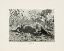 Lyell (Denis D.) - Hunting Trips in Northern Rhodesia, first edition, plates and illustrations,